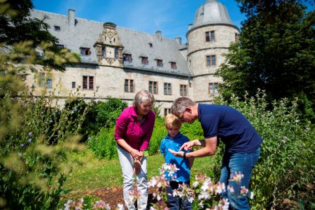 Der Kräutergarten der Wewelsburg: Pflanzlisten des Jesuitengartens Münster dienen als Grundlage für die Bepflanzung (Foto: Lina Loos für das Kreismuseum  Wewelsburg)